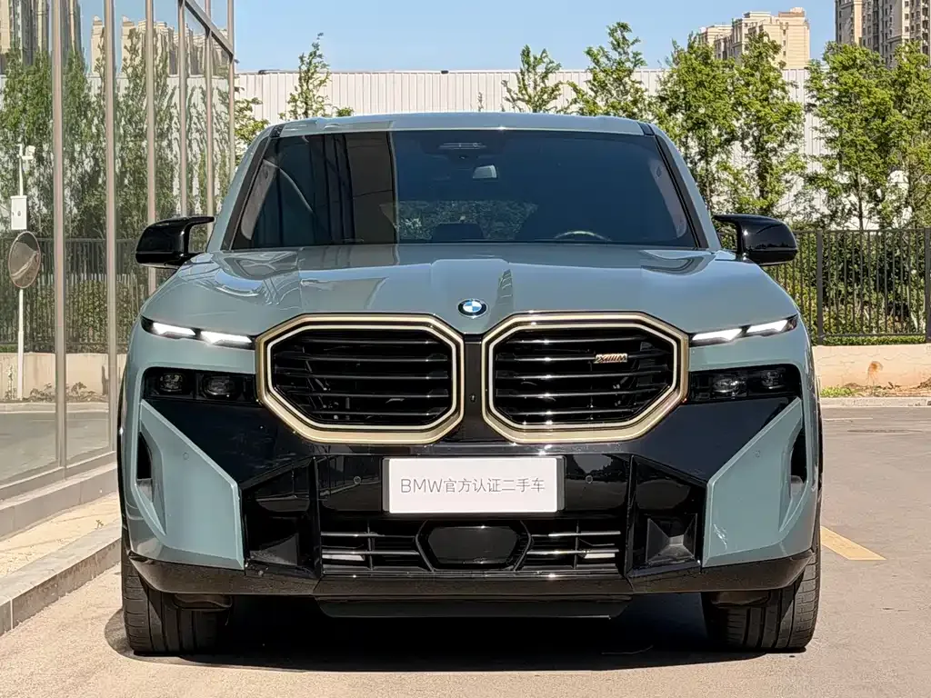BMW XM — фото 9