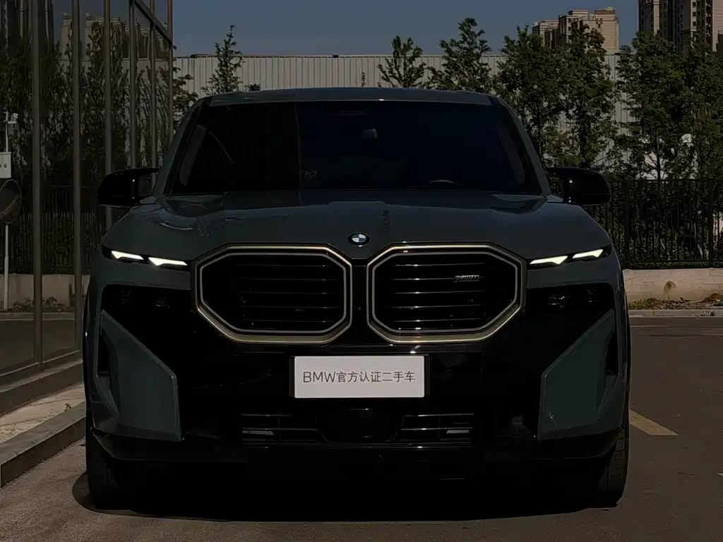 BMW XM — фото 6