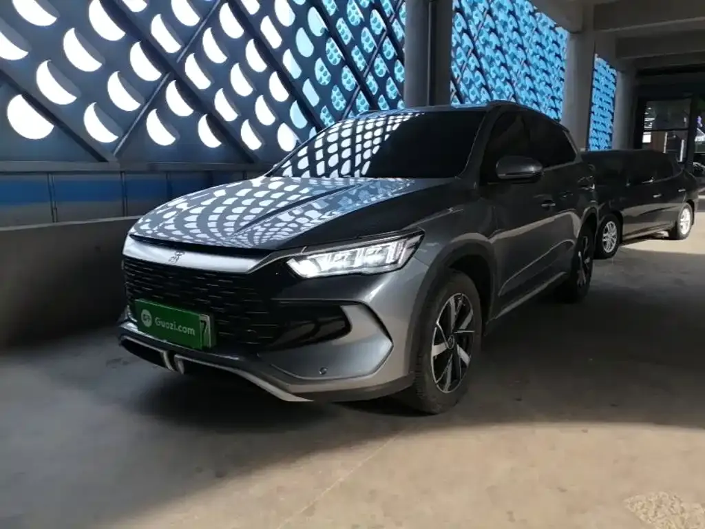 BYD Pro New Energy — фото 10