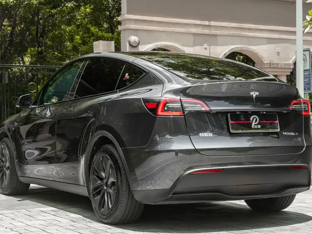 Tesla Model Y — фото 10