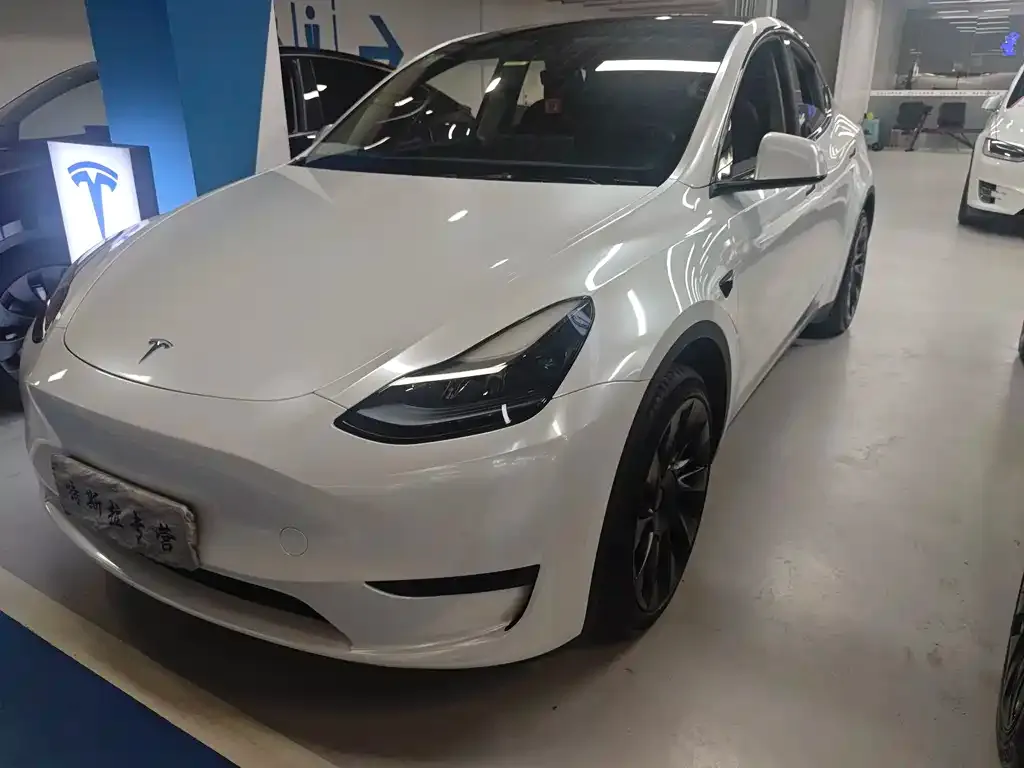 Tesla Model Y — фото 1