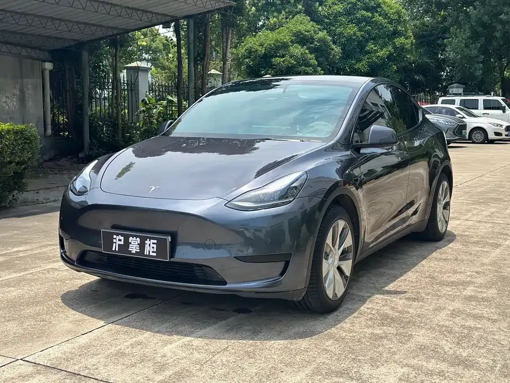 Tesla Model Y — фото 1