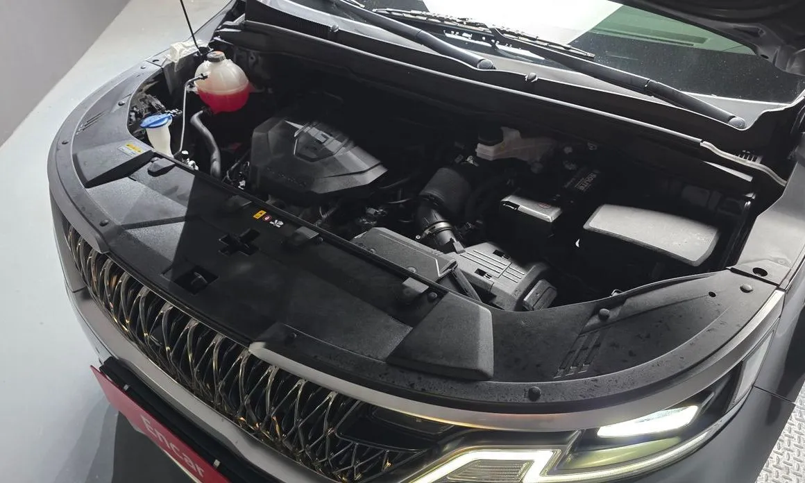 Kia Carnival — фото 10