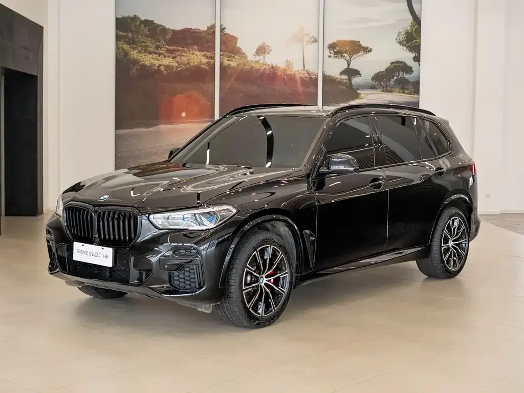 BMW X5 — фото 4
