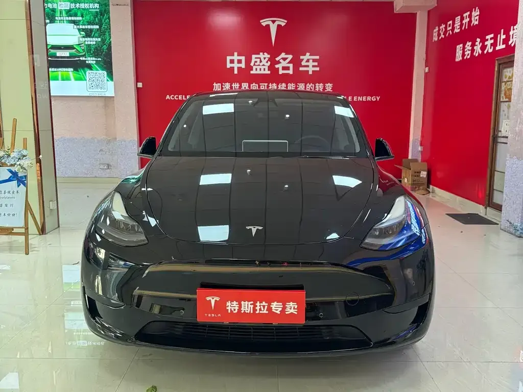 Tesla Model Y — фото 9
