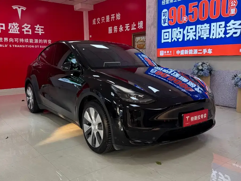 Tesla Model Y — фото 3