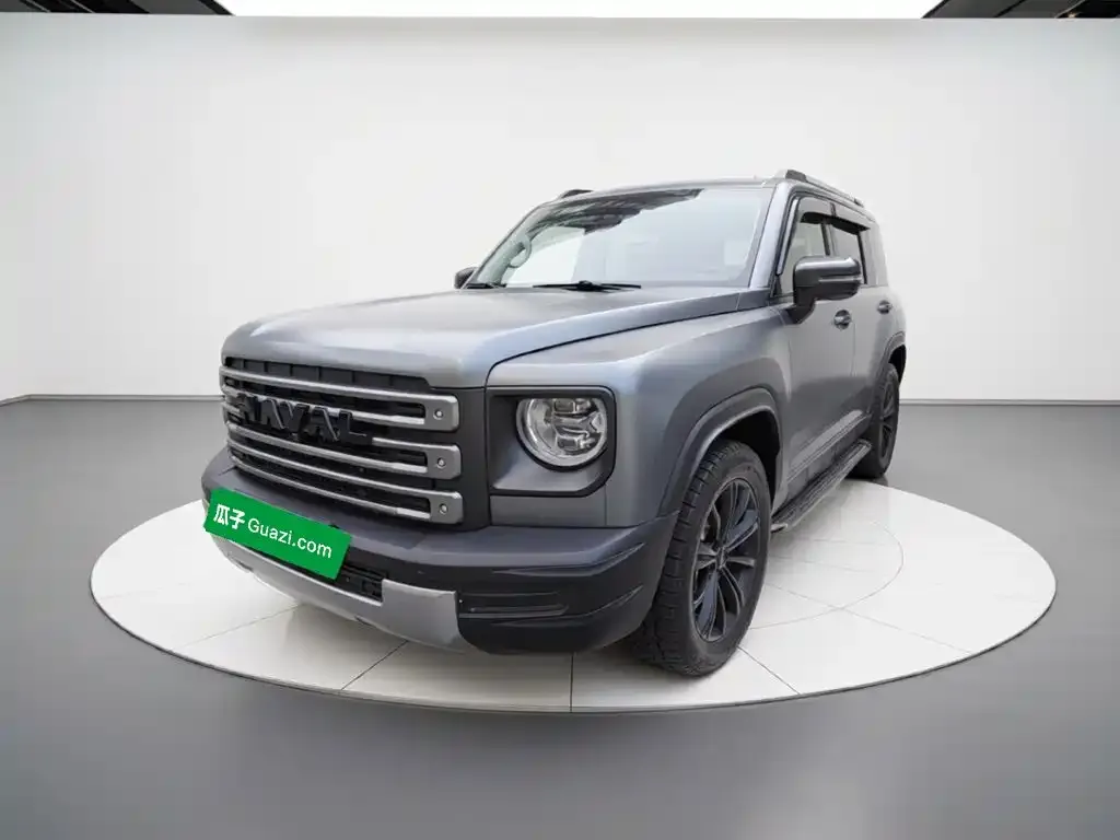 Haval Menglong New Energy — фото 1