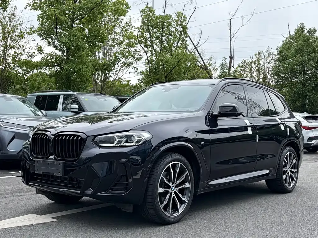 BMW X3 — фото 1