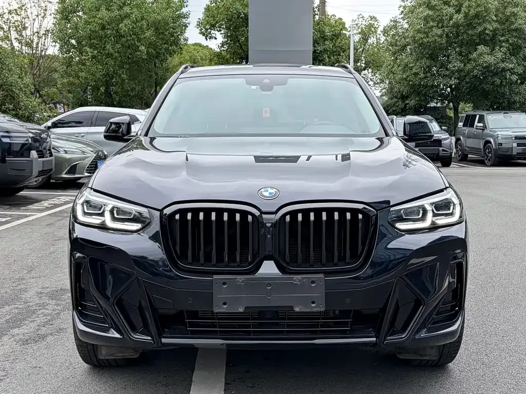 BMW X3 — фото 10