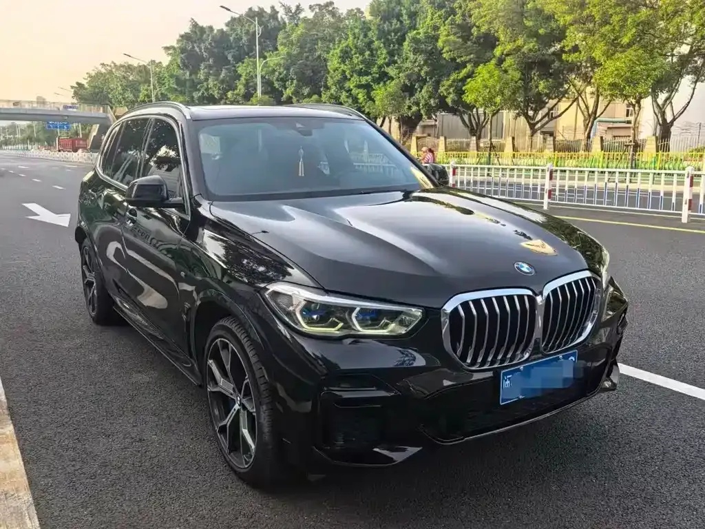 BMW X5 — фото 9