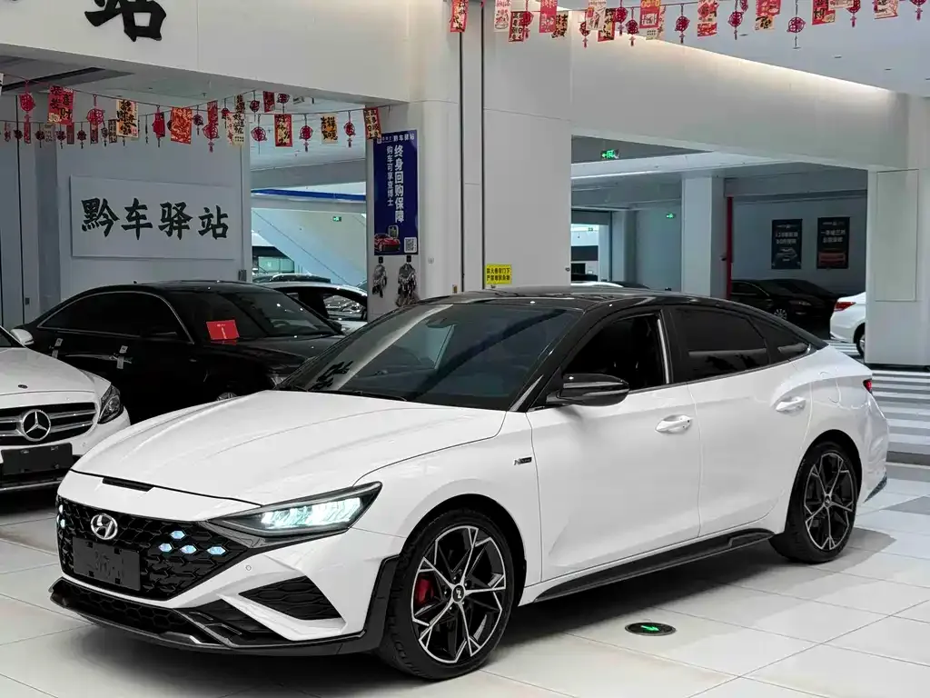 Hyundai Fista — фото 1