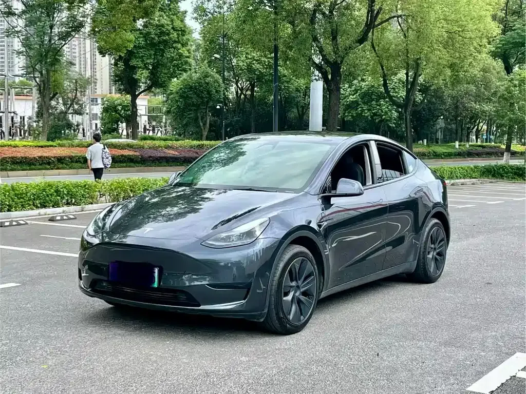 Tesla Model Y — фото 1