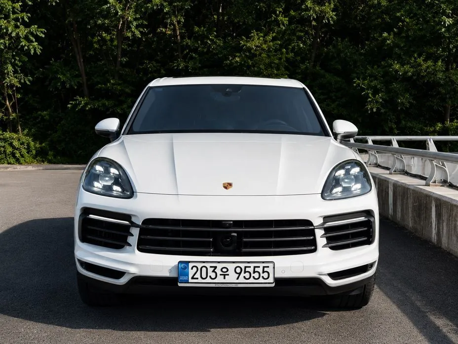 Porsche Cayenne — фото 10