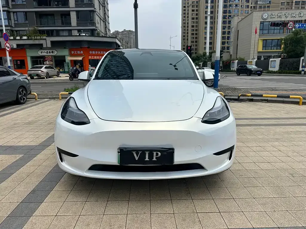 Tesla Model Y — фото 1