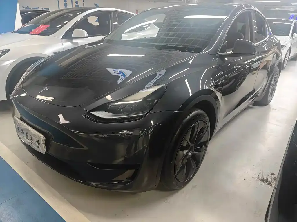 Tesla Model Y — фото 1