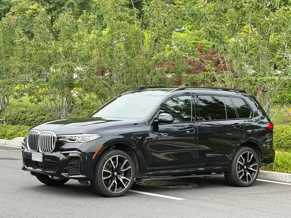 BMW X7 — фото 1