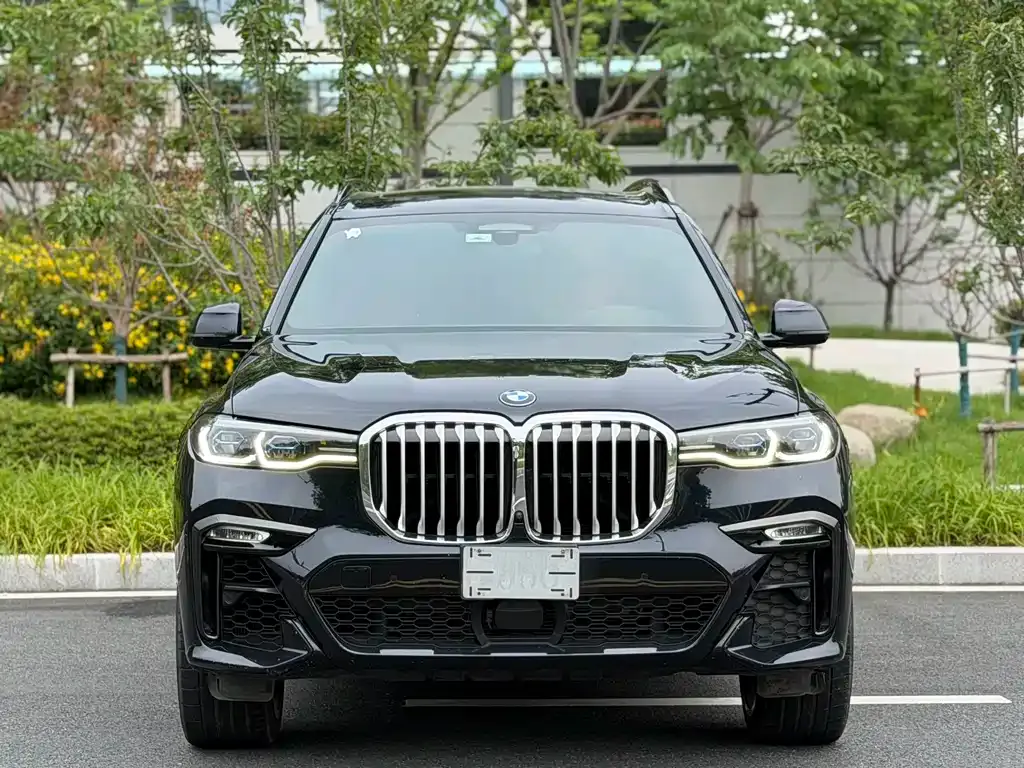 BMW X7 — фото 8