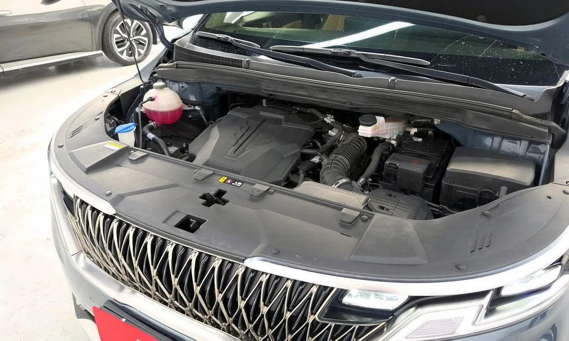Kia Carnival — фото 10
