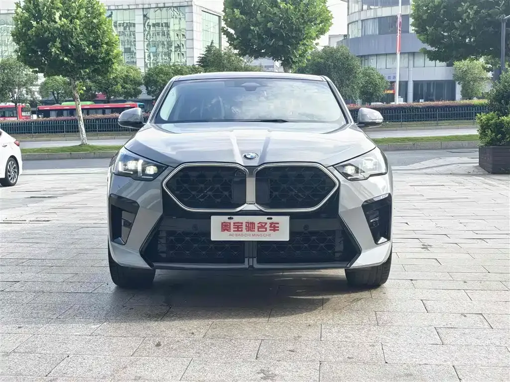 BMW X2 (Import) — фото 10