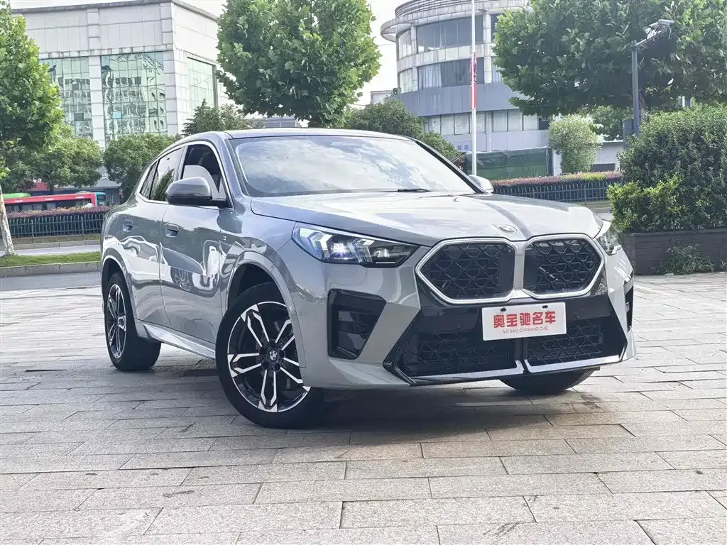 BMW X2 (Import) — фото 8
