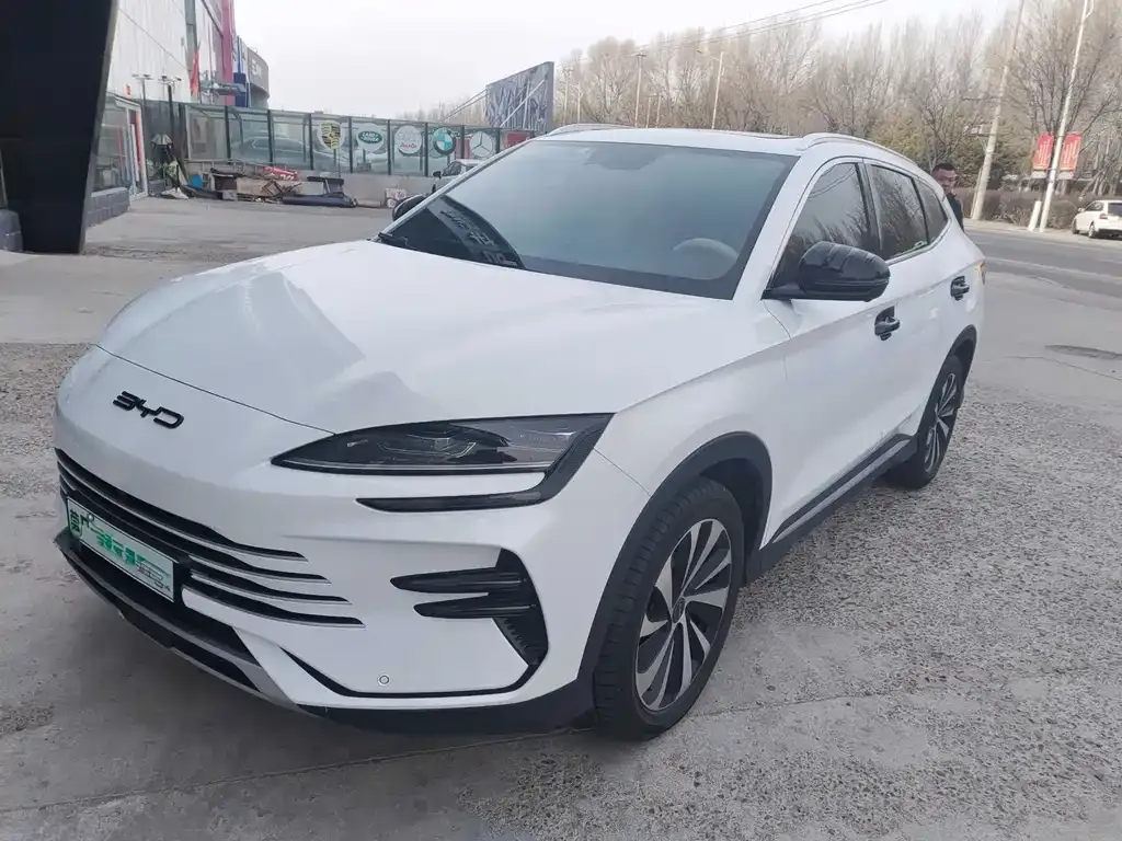 BYD PLUS New Energy — фото 1