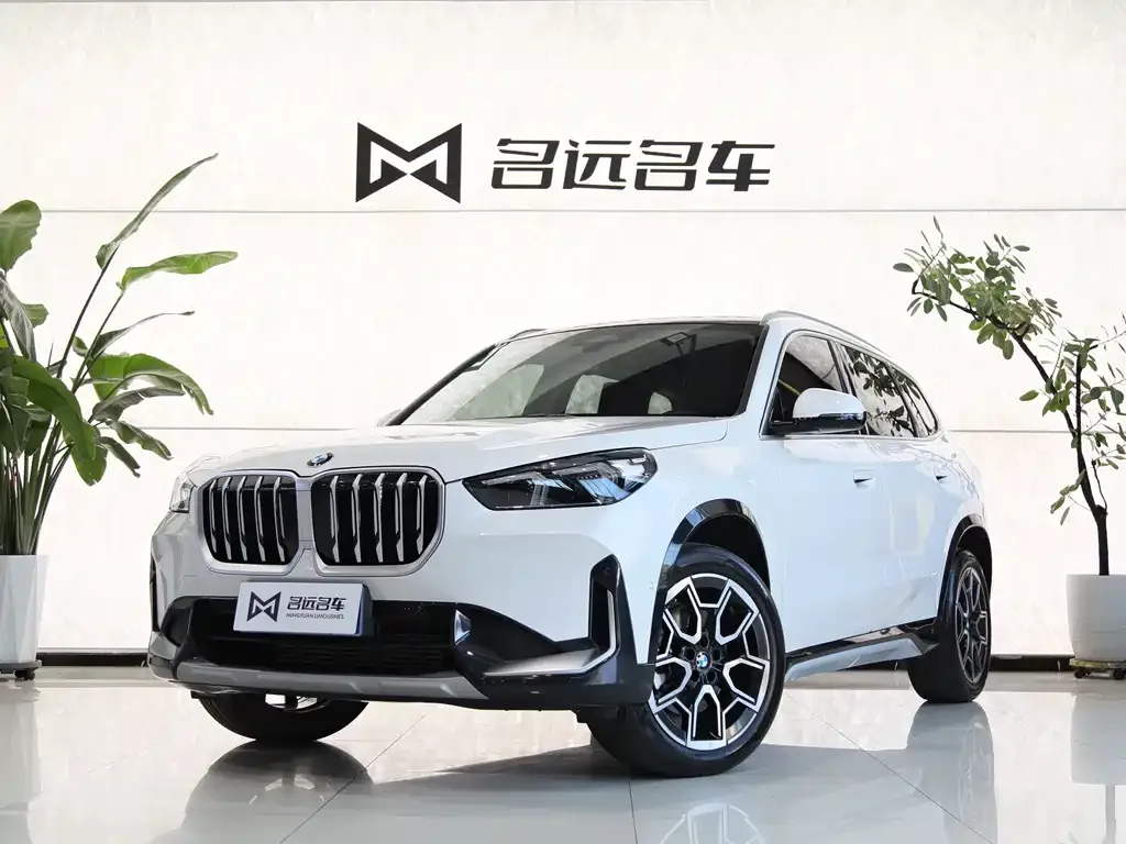 BMW X1 — фото 1