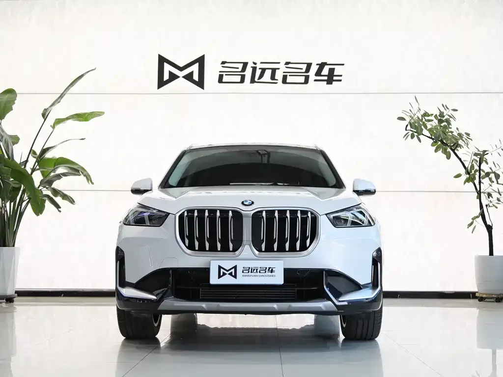 BMW X1 — фото 10