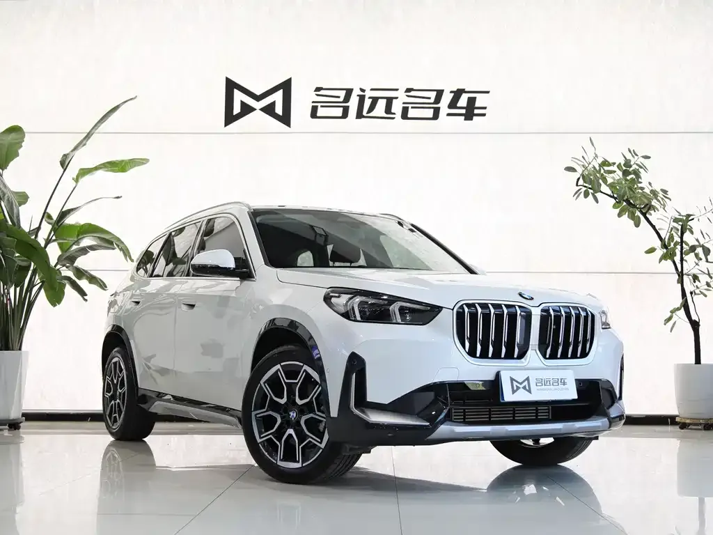 BMW X1 — фото 4