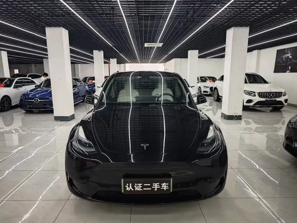 Tesla Model Y — фото 1