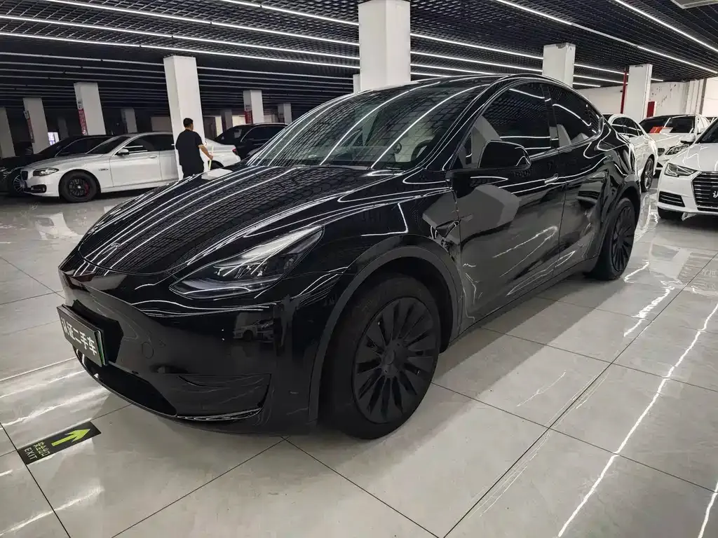 Tesla Model Y — фото 6