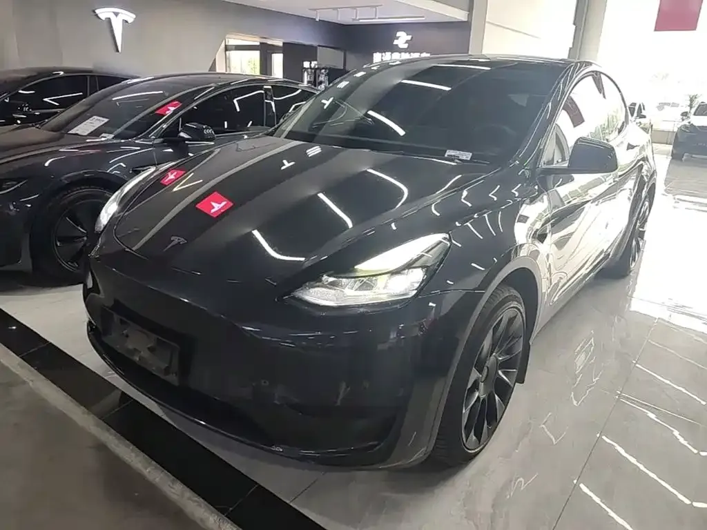 Tesla Model Y — фото 10