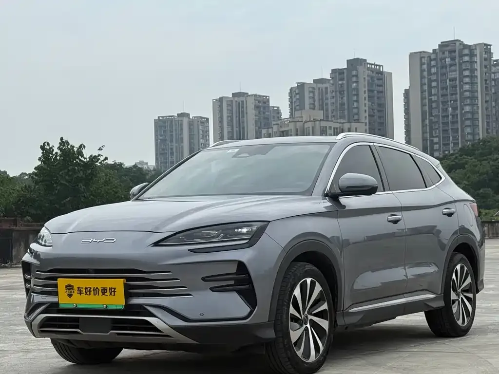 BYD PLUS New Energy — фото 1