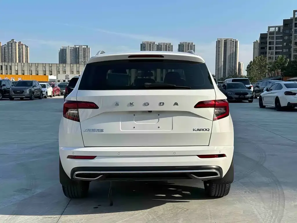 Skoda Karoq — фото 10
