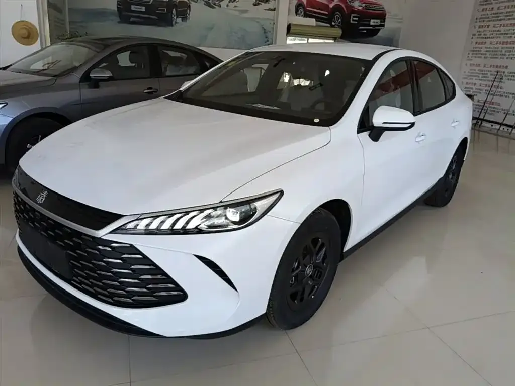 BYD Qin PLUS — фото 1