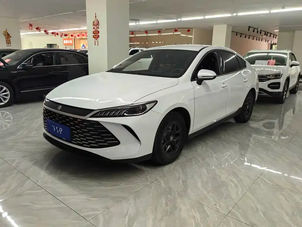 BYD Qin PLUS — фото 1