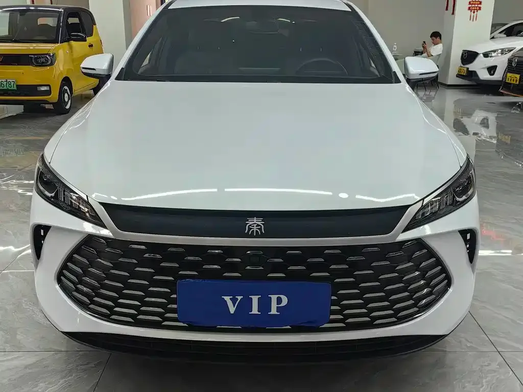 BYD Qin PLUS — фото 9