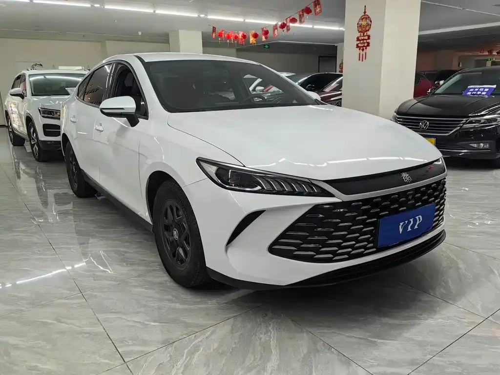 BYD Qin PLUS — фото 10