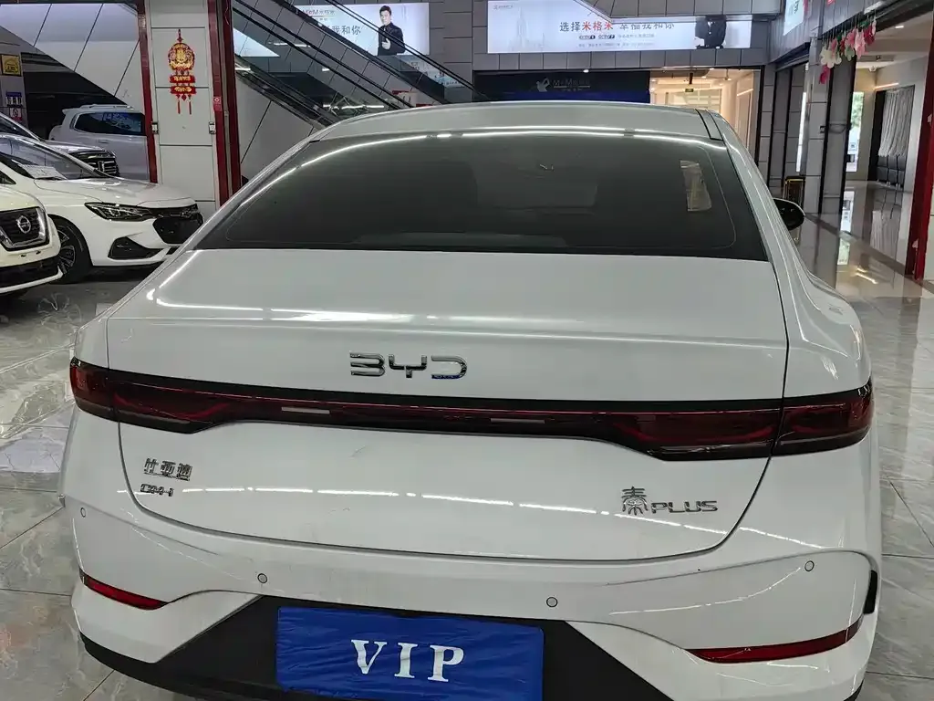 BYD Qin PLUS — фото 6