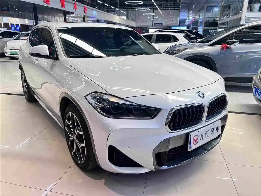 BMW X2 — фото 1