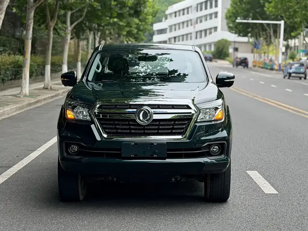 Dongfeng Rich 6 Pro — фото 3