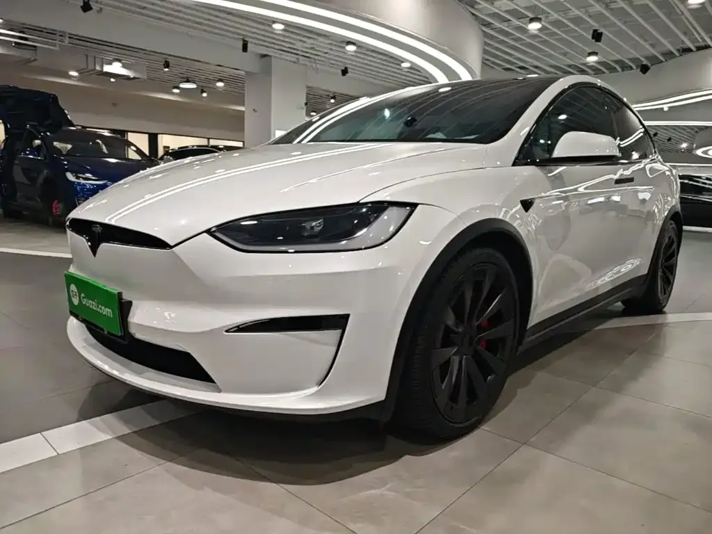 Tesla Model X — фото 10