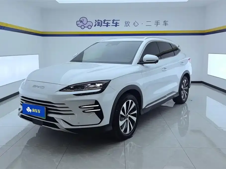 BYD PLUS New Energy — фото 1