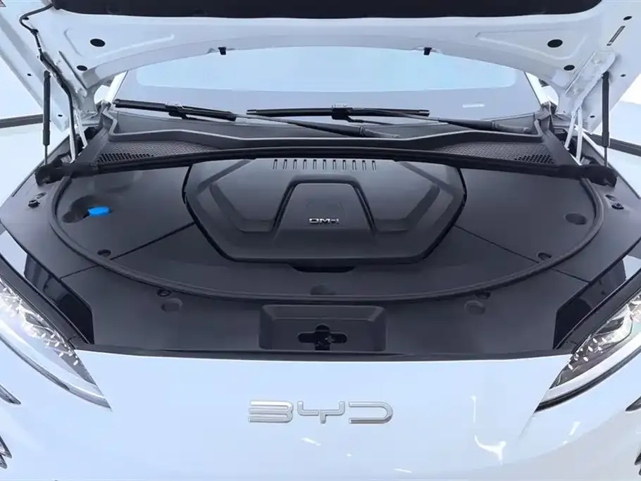 BYD PLUS New Energy — фото 7