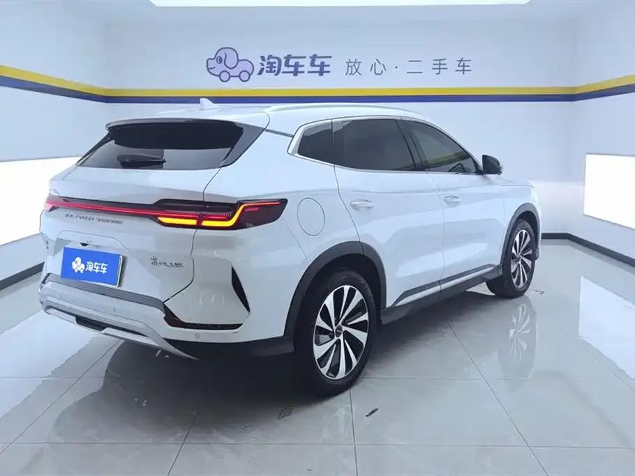 BYD PLUS New Energy — фото 10