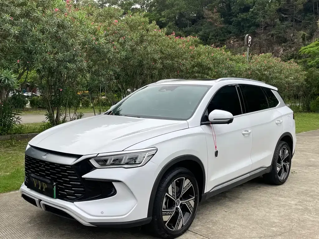 BYD Pro New Energy — фото 1