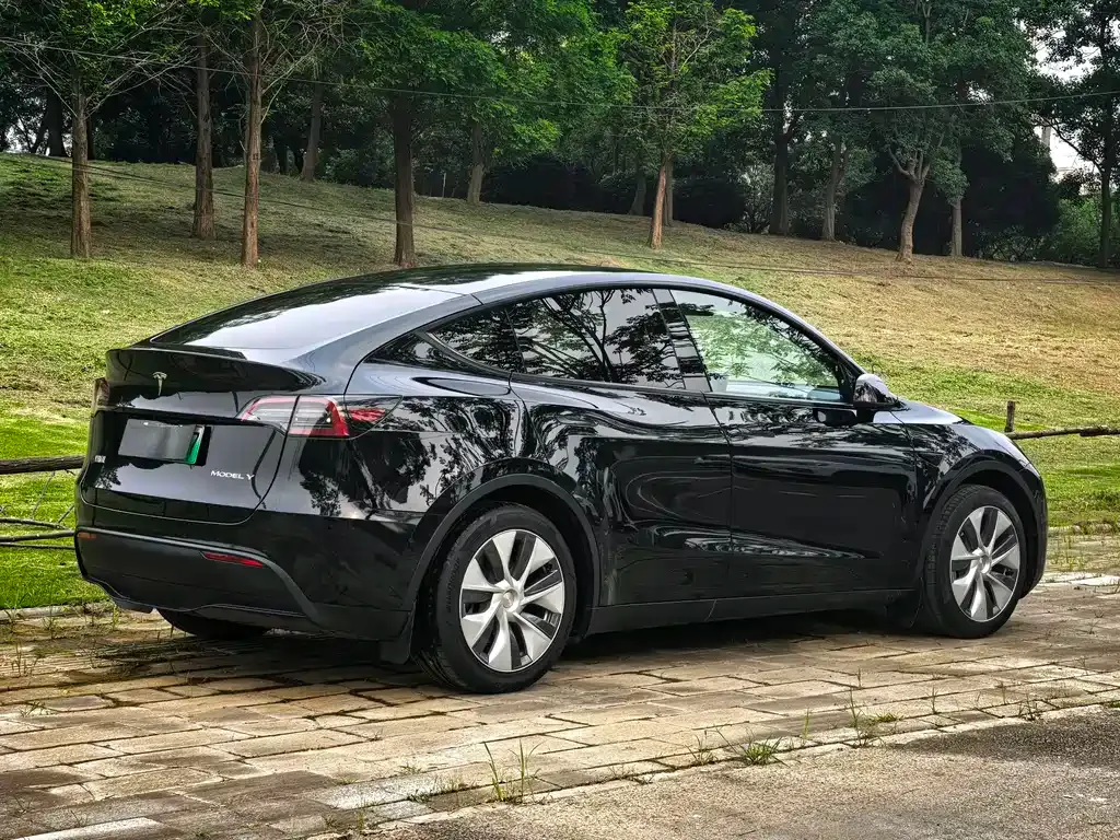 Tesla Model Y — фото 4