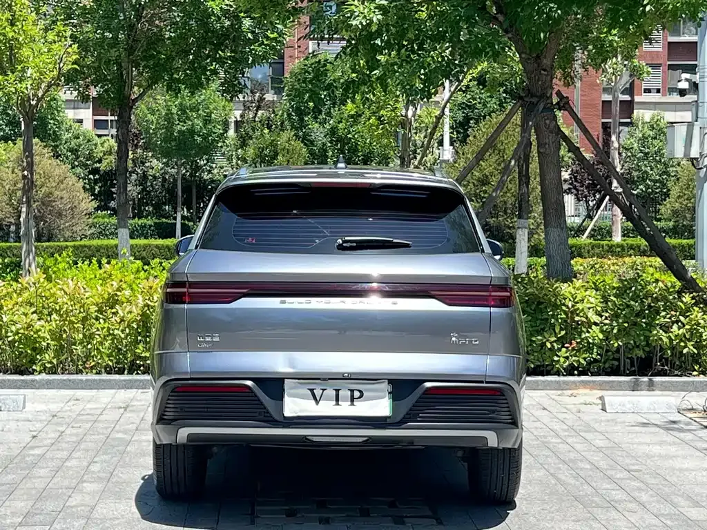 BYD Pro New Energy — фото 2