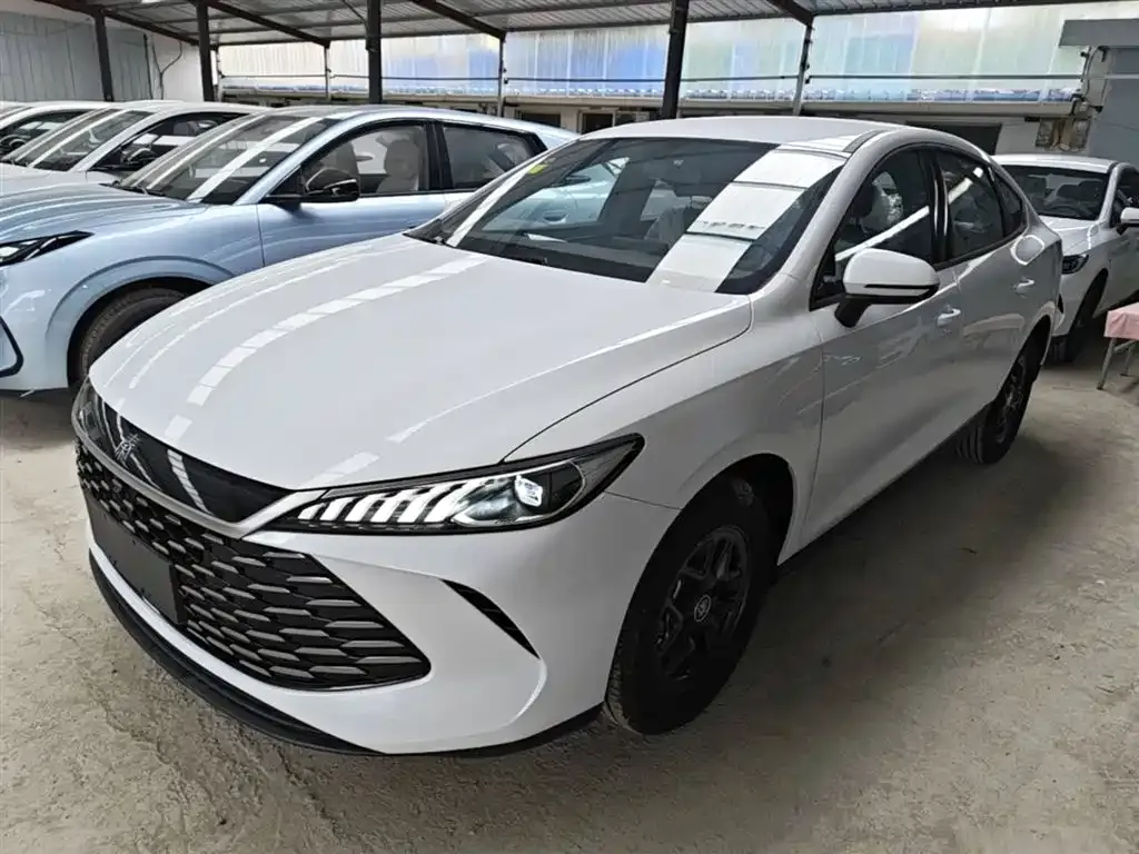BYD Qin PLUS — фото 1