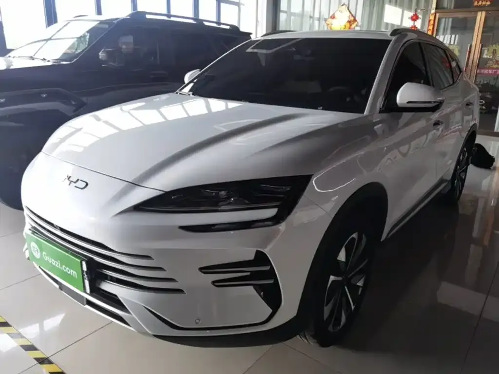 BYD PLUS New Energy — фото 2