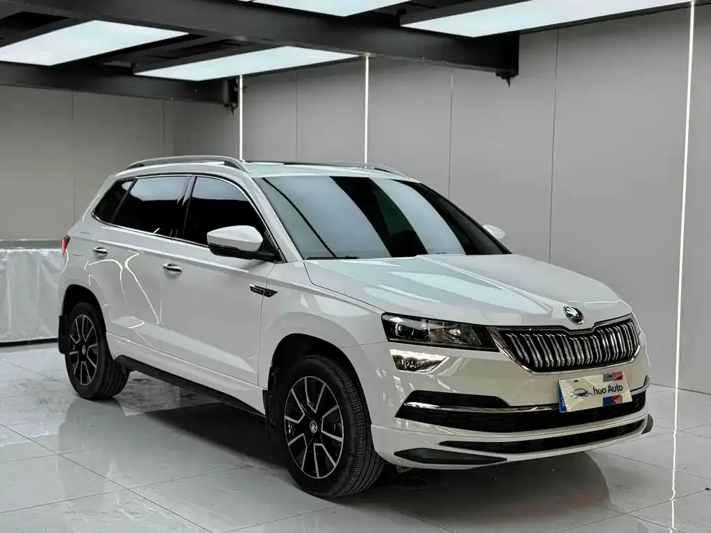 Skoda Karoq — фото 3